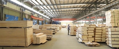 Wuhu Sunny Furniture Co., Ltd.
